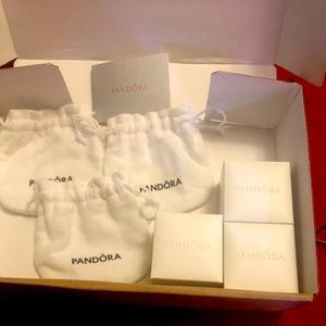 Pandora charm Dust bag & boxes.